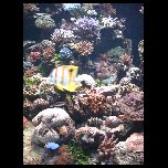 IMAG2073