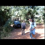  Campement du lion
