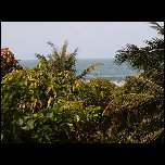  La mer est la bas.. toujours depuis le campement MBalo

