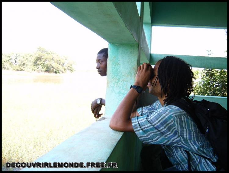  Observation de la faune depuis le point de vue
