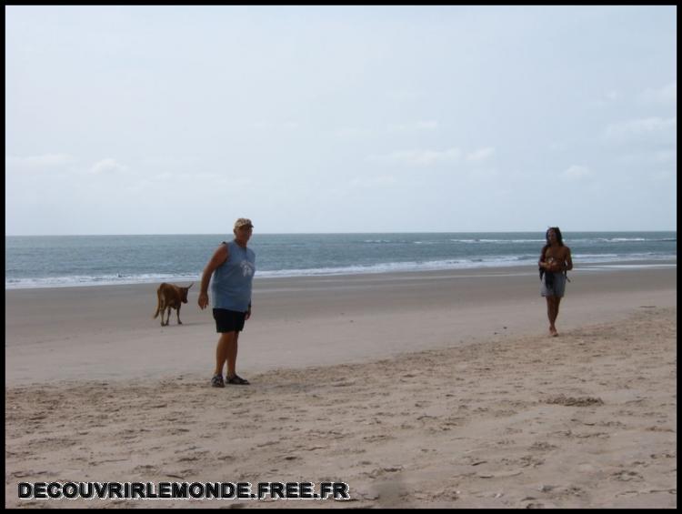  Que fait la vache sur la plage ici?
