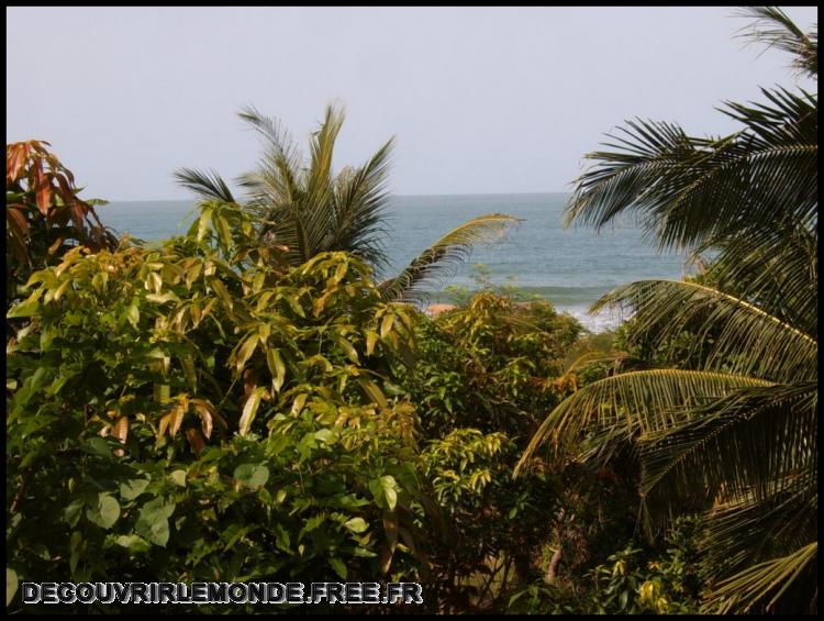  La mer est la bas.. toujours depuis le campement MBalo
