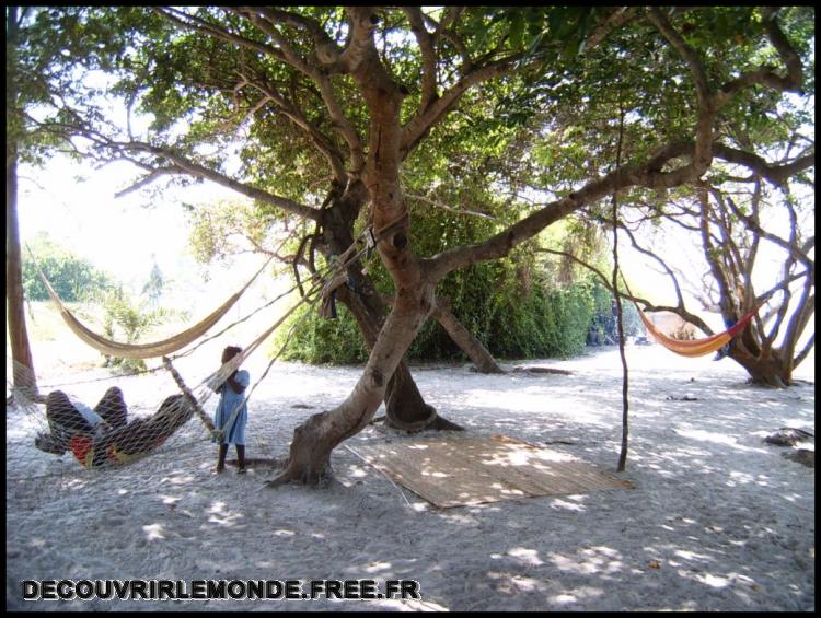  repos dans les Hamacs
