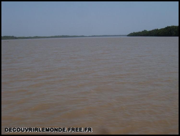  Le fleuve Gambie
