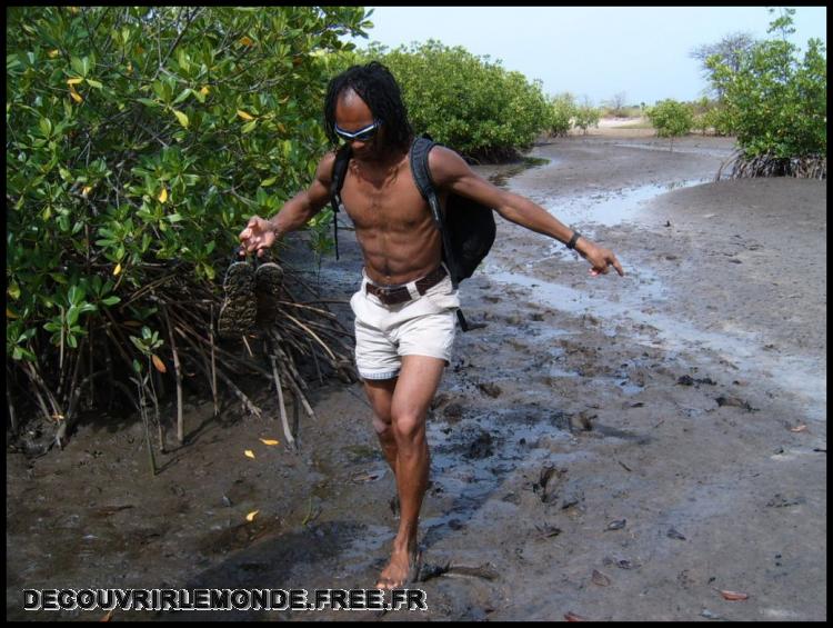  Balade dans le sine Saloum